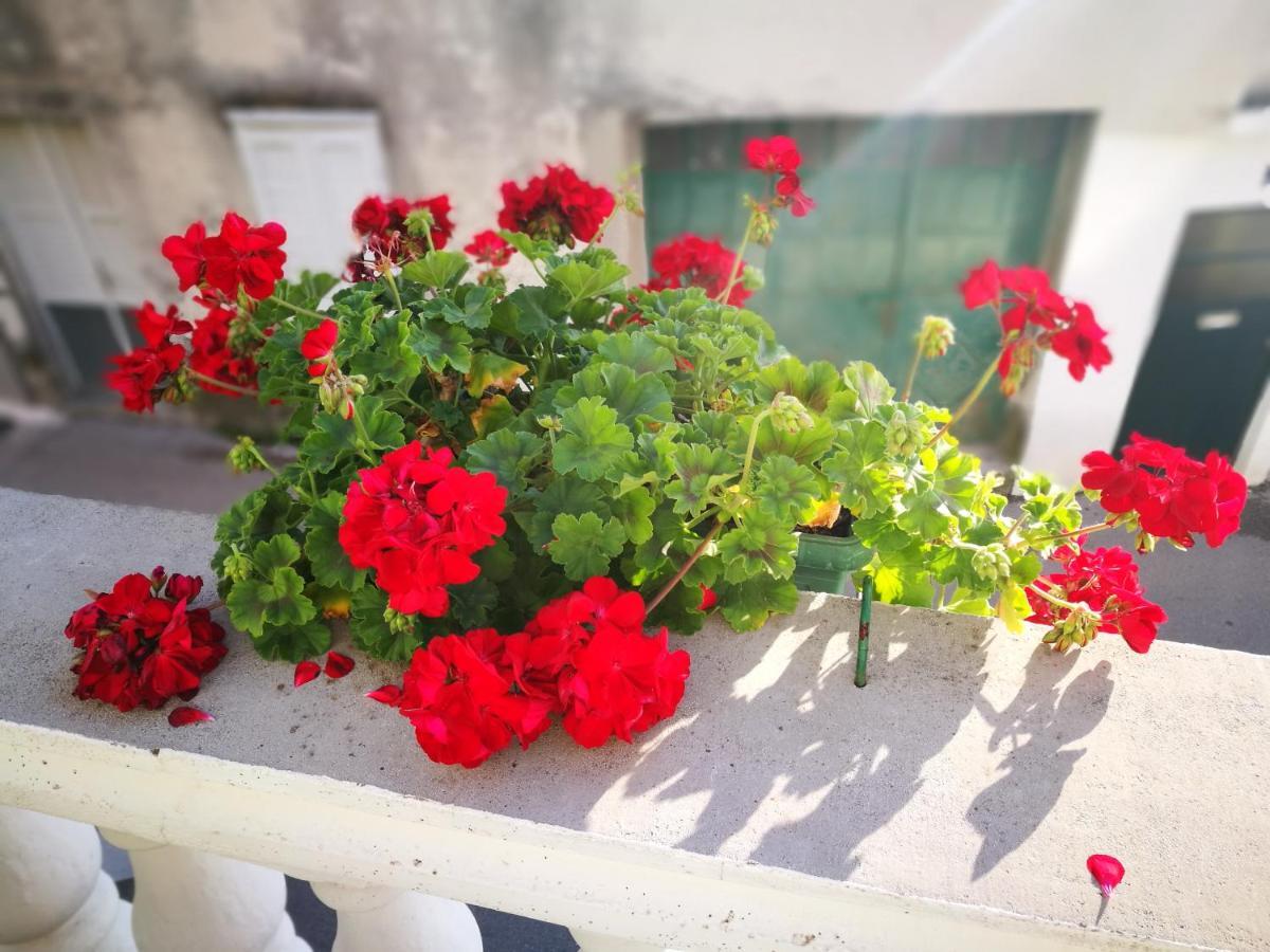Apartment Dada Šibenik Eksteriør billede